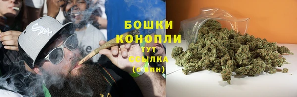 гидра Осинники