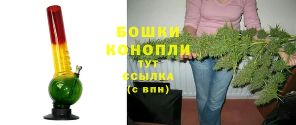 гидра Осинники